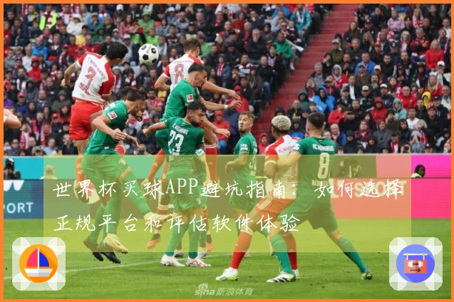 世界杯买球APP避坑指南：如何选择正规平台和评估软件体验
