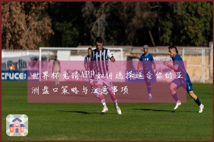 世界杯竞猜APP如何选择适合你的亚洲盘口策略与注意事项