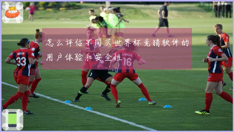 怎么评估不同买世界杯竞猜软件的用户体验和安全性