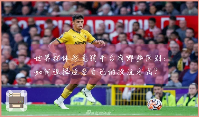 世界杯体彩竞猜平台有哪些区别，如何选择适合自己的投注方式？