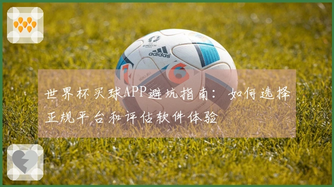 世界杯买球APP避坑指南：如何选择正规平台和评估软件体验
