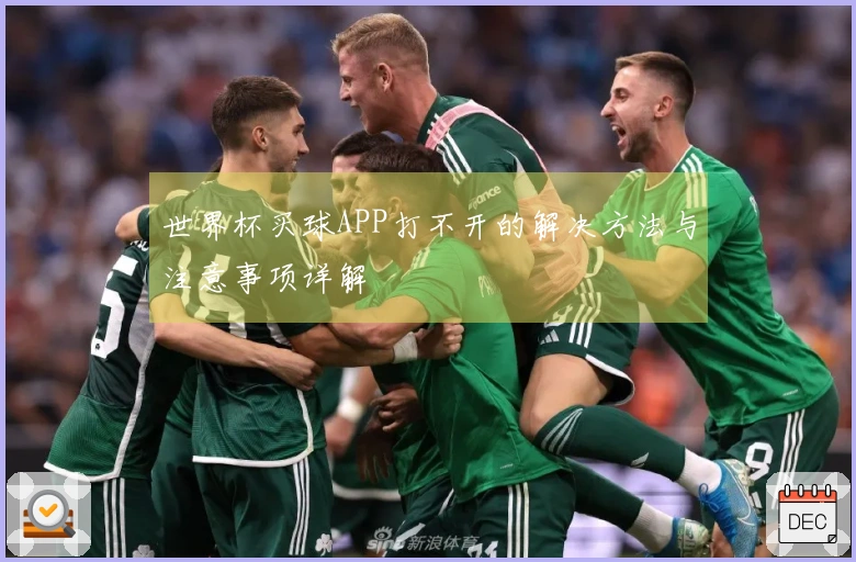 世界杯买球APP打不开的解决方法与注意事项详解